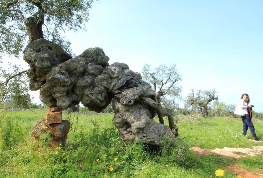 Masseria Brancati 호텔 오스투니 외부 사진