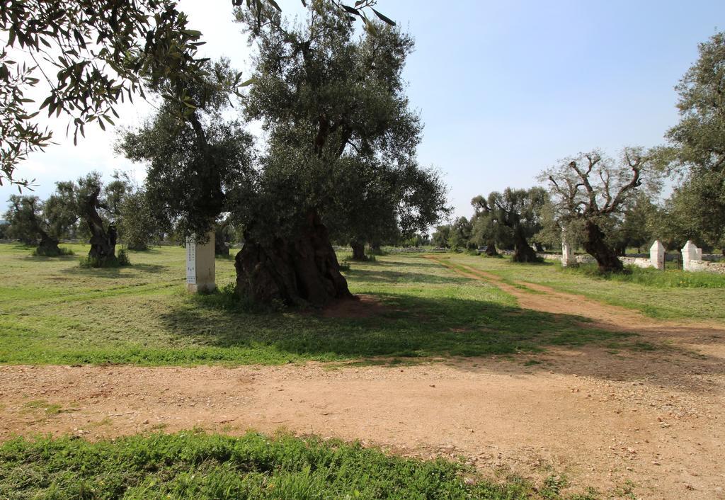 Masseria Brancati 호텔 오스투니 외부 사진